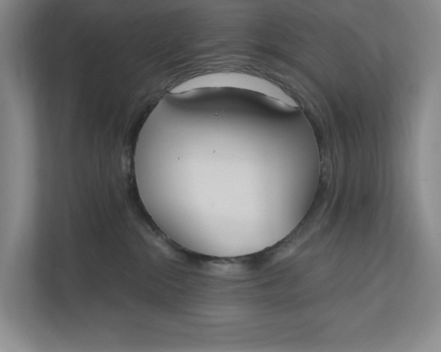 X0000110740284200906290954