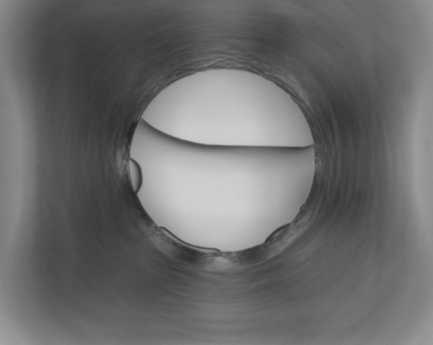 X0000110740285200906290954