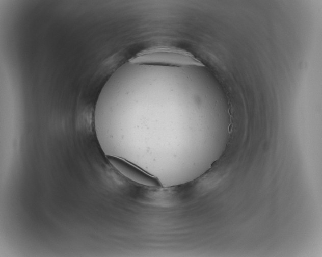 X0000110740288200906290954