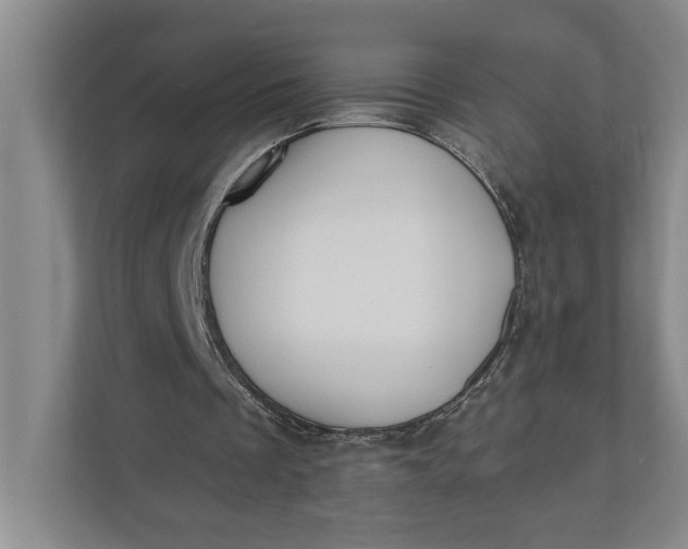 X0000110740289200906290953