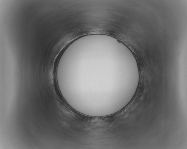 X0000110740290200906290953