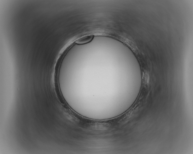 X0000110740292200906290953