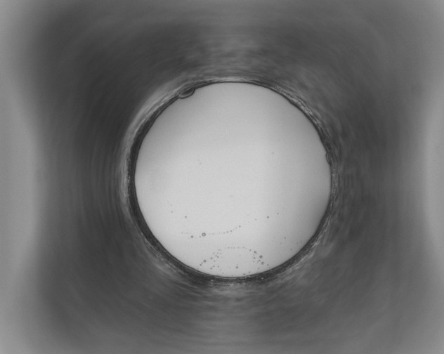 X0000110740293200906290953