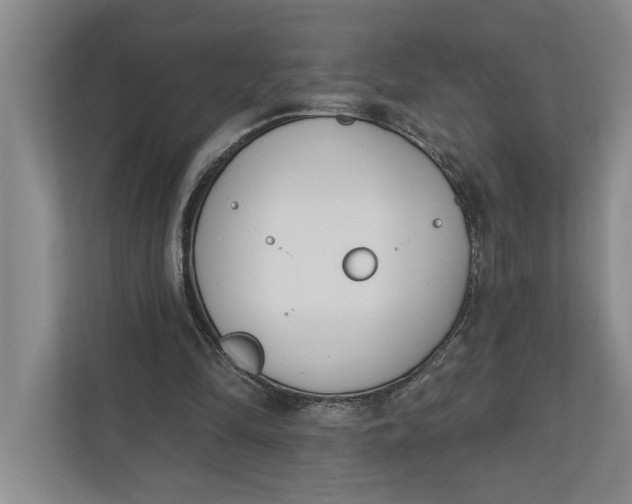 X0000110740294200906290953