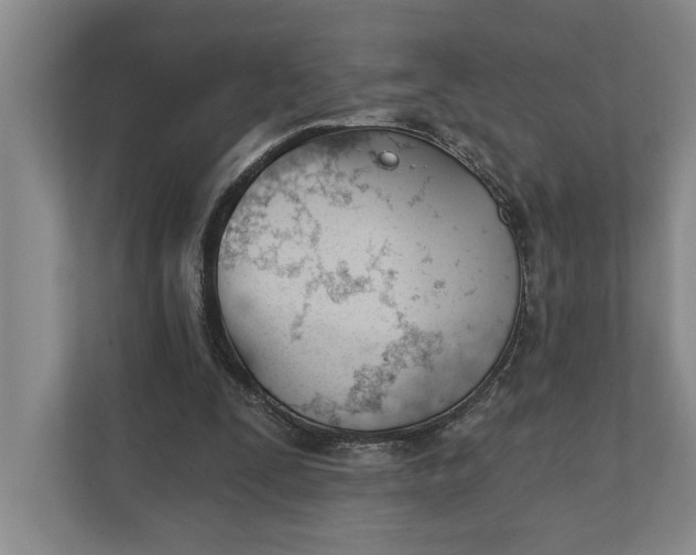 X0000110740295200906290953