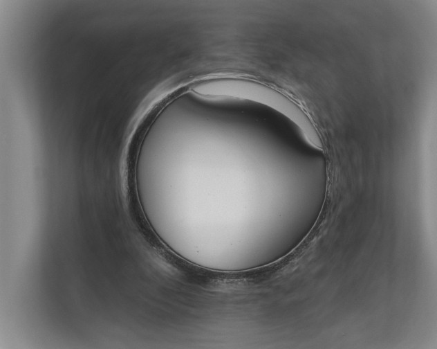 X0000110740296200906290953