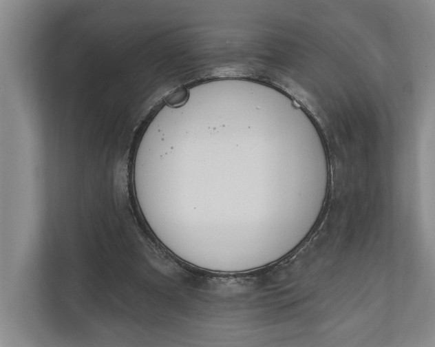 X0000110740297200906290953