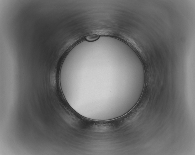 X0000110740299200906290953