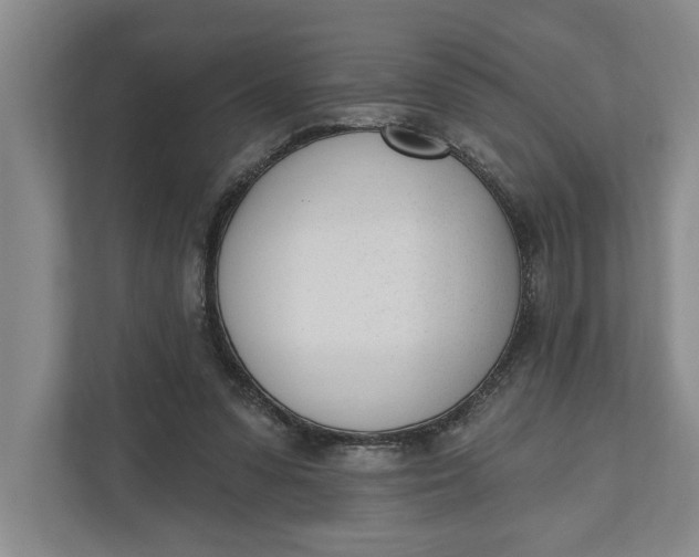 X0000110740303200906290953