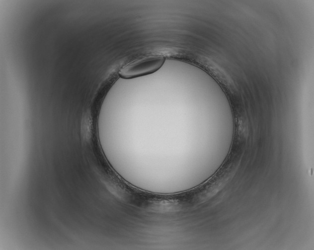 X0000110740304200906290953