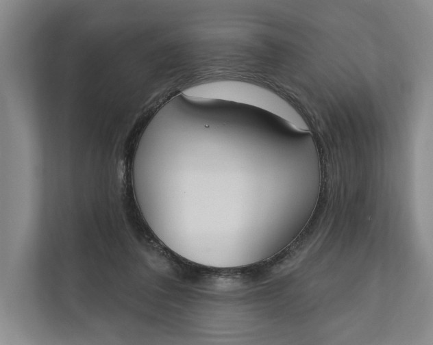 X0000110740308200906290953