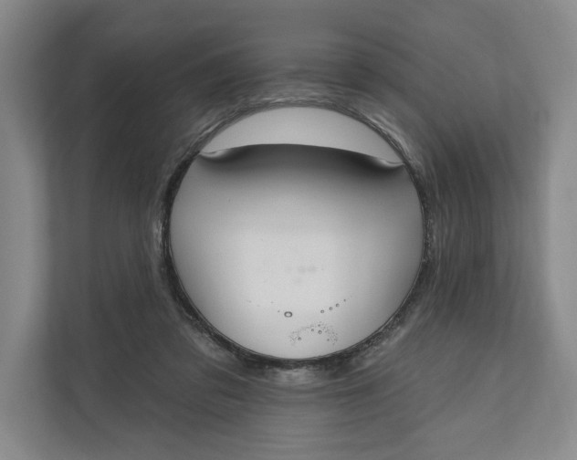 X0000110740309200906290953