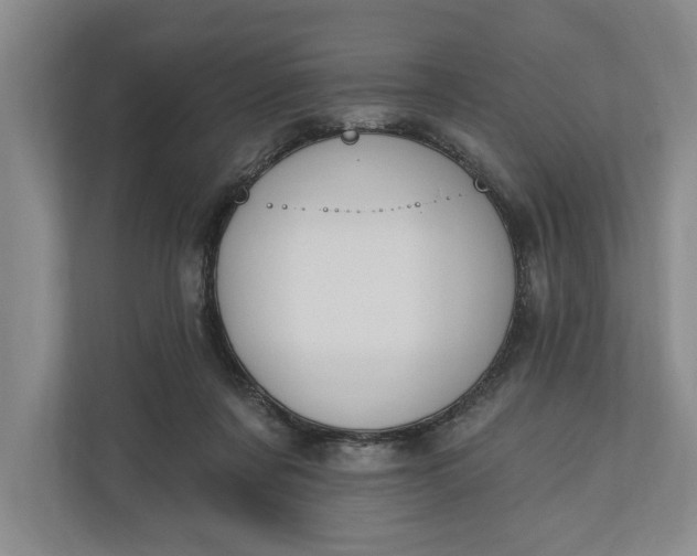 X0000110740311200906290953