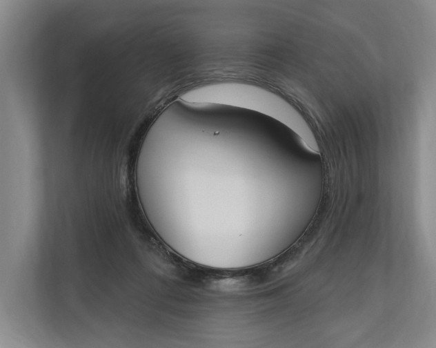 X0000110740312200906290953