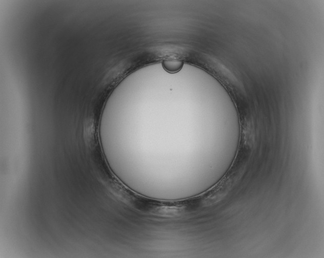 X0000110740314200906290953