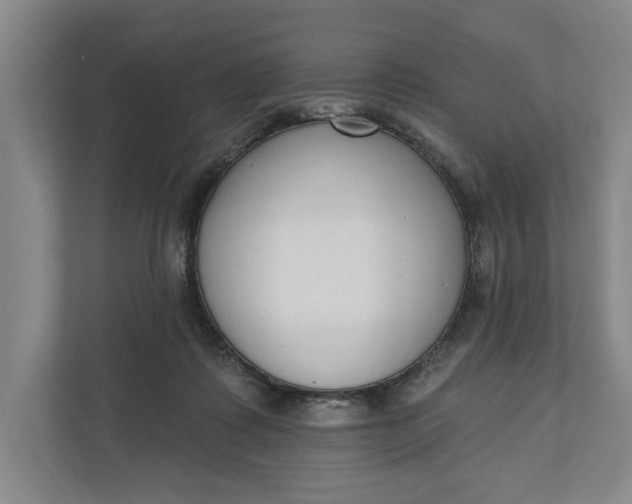 X0000110740315200906290953