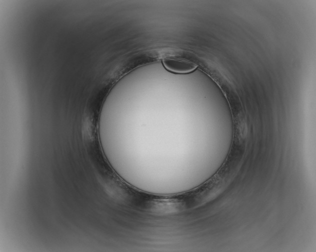 X0000110740316200906290953