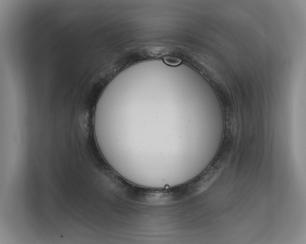 X0000110740319200906290953