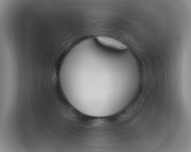 X0000110740320200906290953