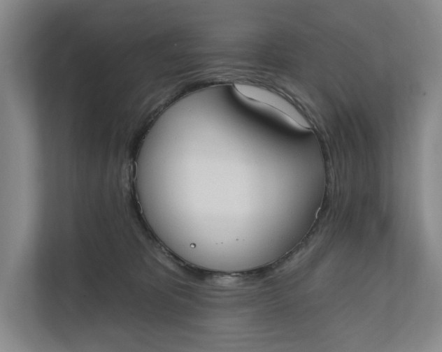 X0000110740325200906290953