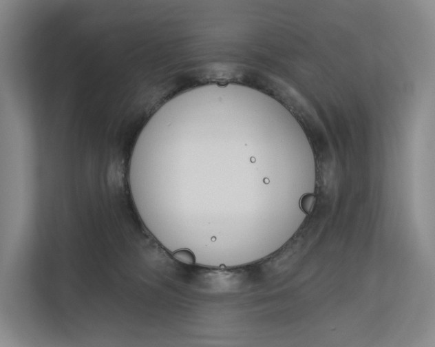 X0000110740326200906290953