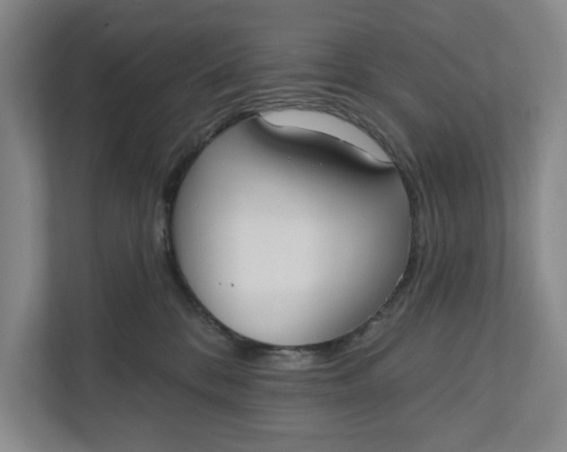 X0000110740328200906290953