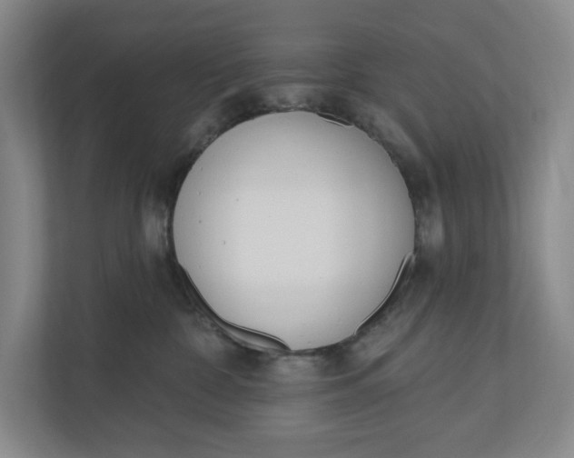 X0000110740332200906290953