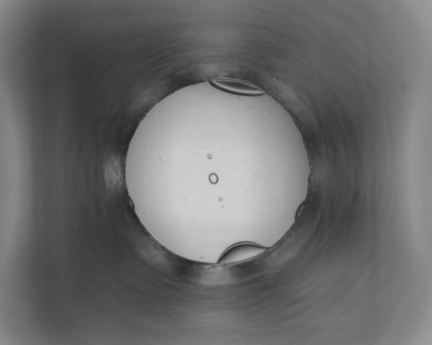 X0000110740335200906290953