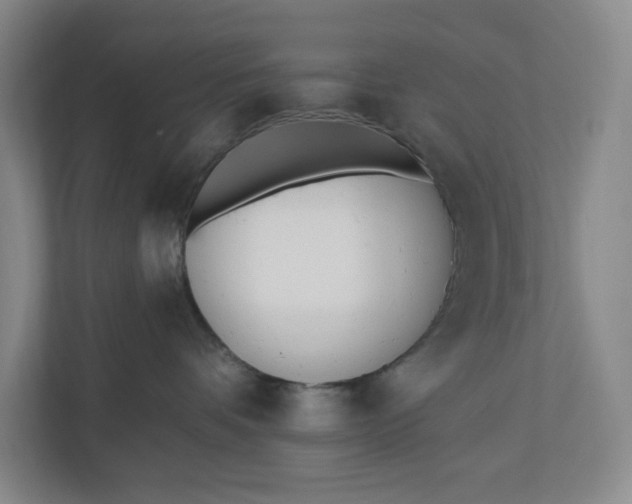 X0000110740336200906290953