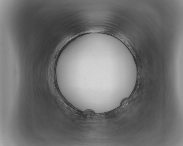 X0000110740337200906290952