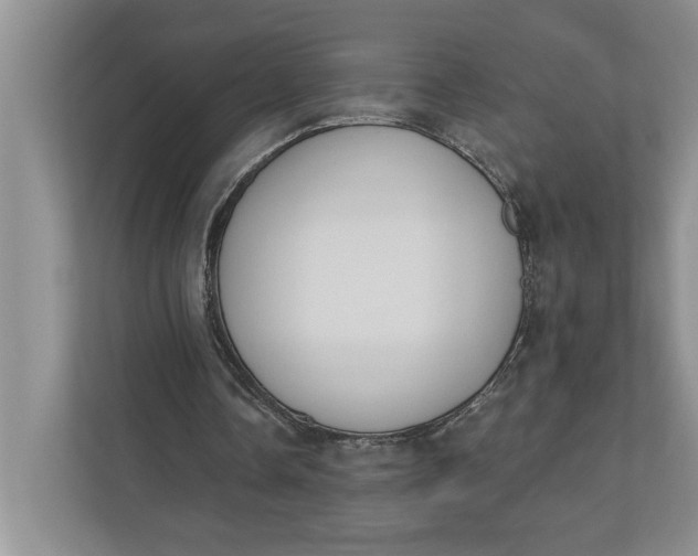 X0000110740338200906290952