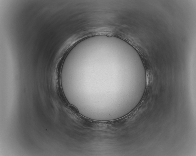 X0000110740339200906290952