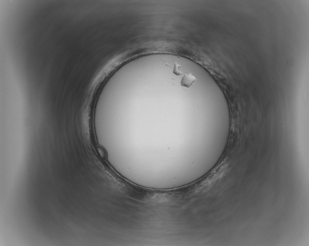 X0000110740341200906290952