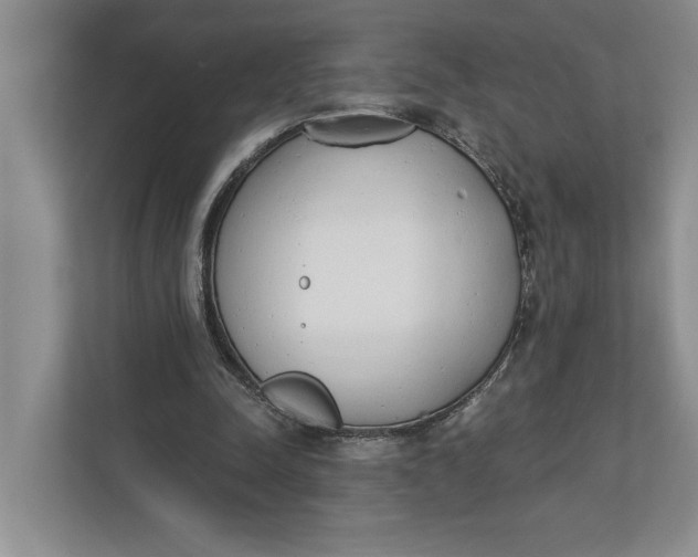 X0000110740342200906290952