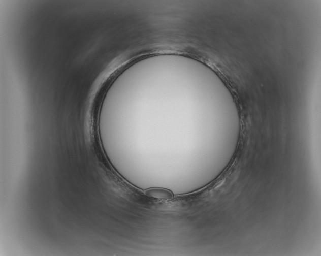 X0000110740343200906290952