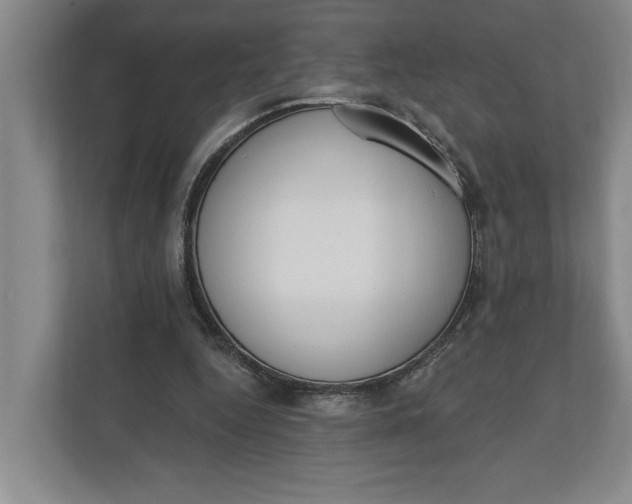 X0000110740344200906290952