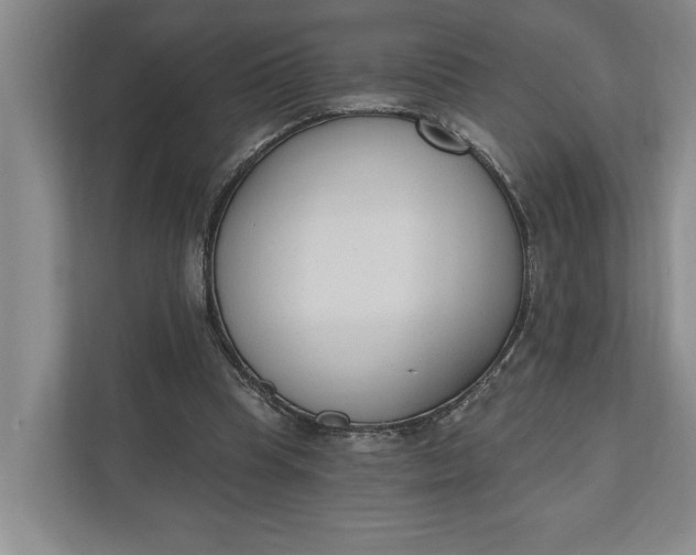 X0000110740345200906290952