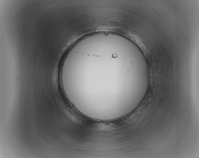 X0000110740346200906290952