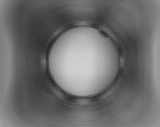 X0000110740349200906290952