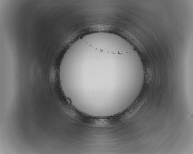 X0000110740355200906290952