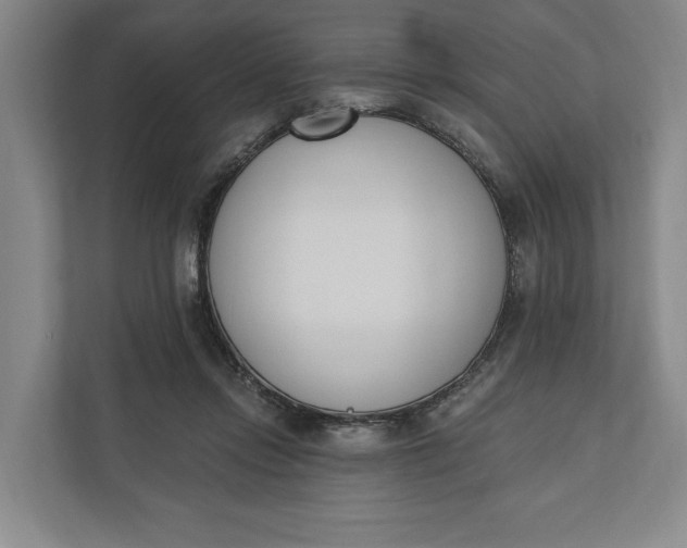 X0000110740358200906290952