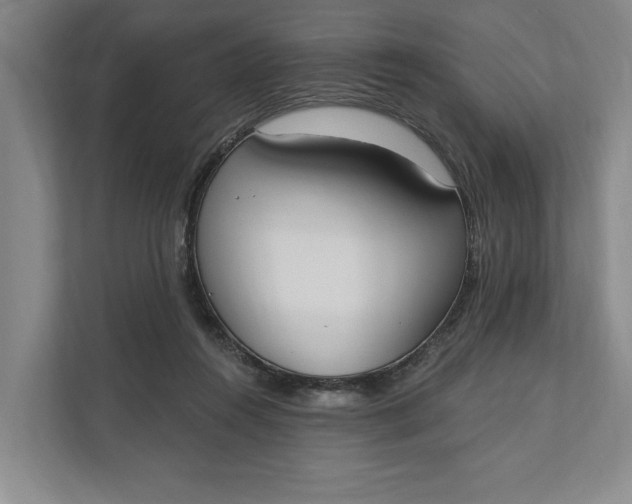 X0000110740360200906290952