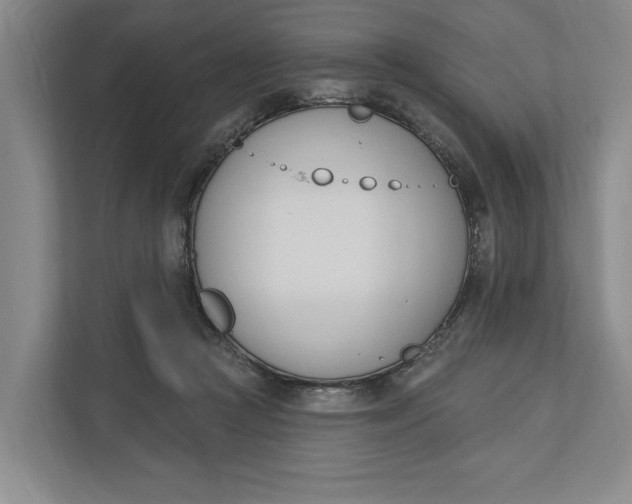 X0000110740361200906290953