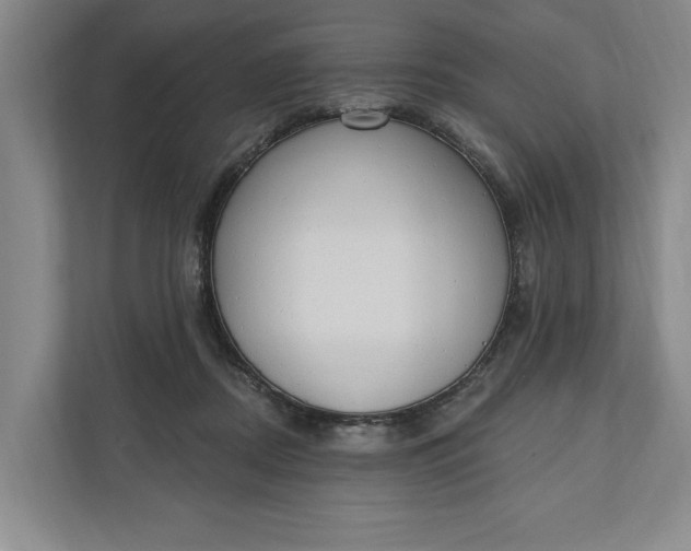 X0000110740362200906290953