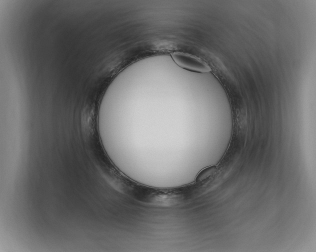 X0000110740364200906290953