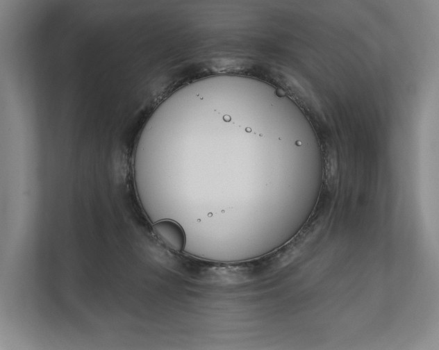 X0000110740367200906290953