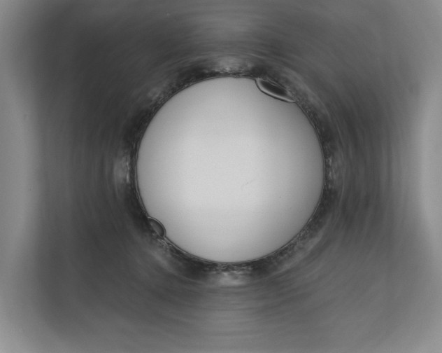 X0000110740368200906290953