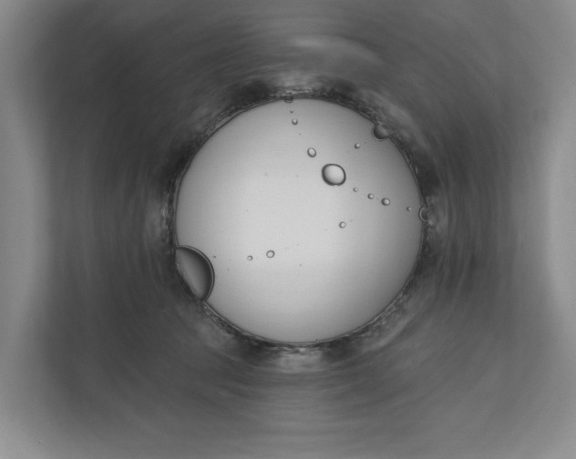 X0000110740369200906290953