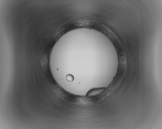 X0000110740372200906290953