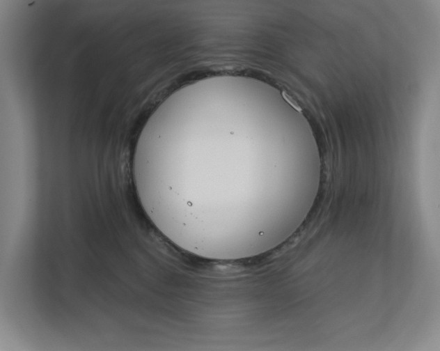 X0000110740376200906290953